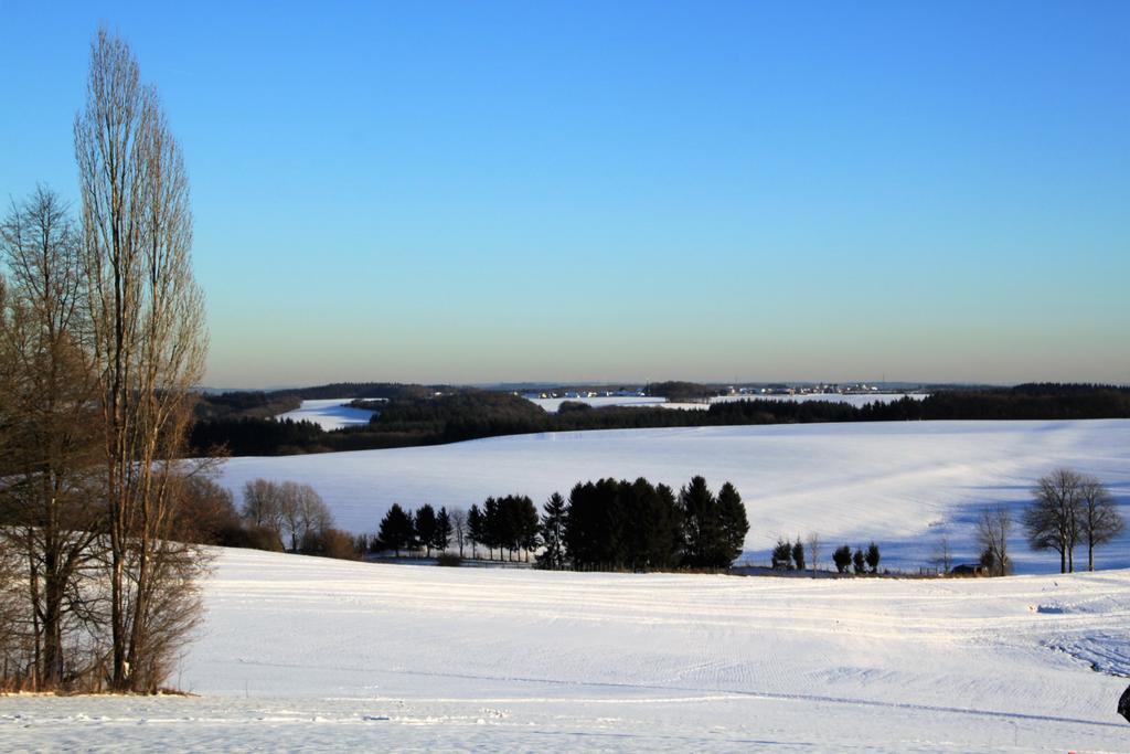 Ferienwohnungen Eifelblick Lutzerath Екстериор снимка
